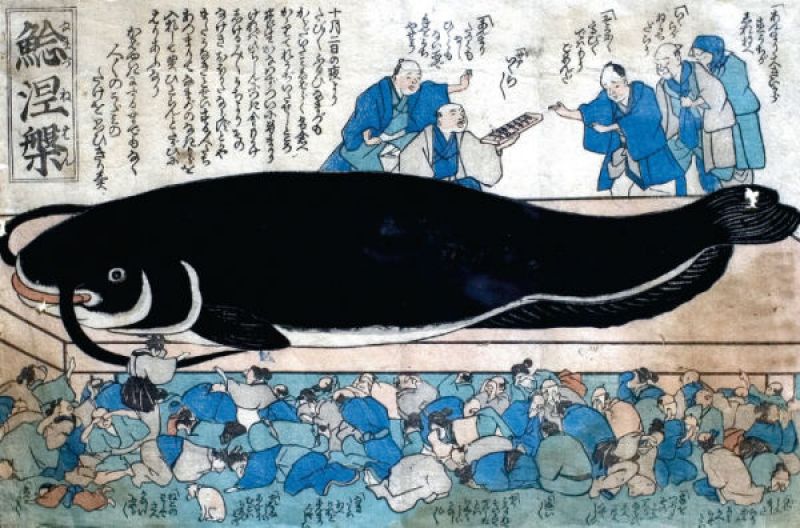 namazu namazu